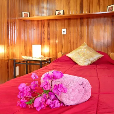 Welcome In Paradise Ла-Матанса-де-Асентехо